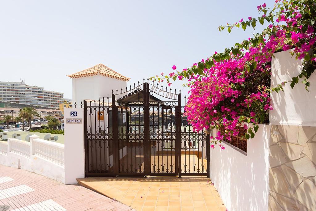 Neptuno Ocean Experience By Sydney Apartment Puerto de Santiago  Exterior photo